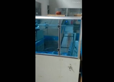 自動開箱封箱裝箱