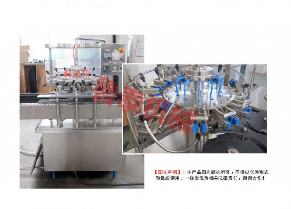 DYZCP系列自動翻轉式沖控機